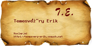 Temesváry Erik névjegykártya